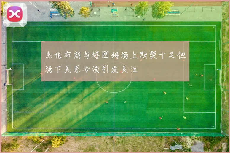 杰伦布朗与塔图姆场上默契十足但场下关系冷淡引发关注